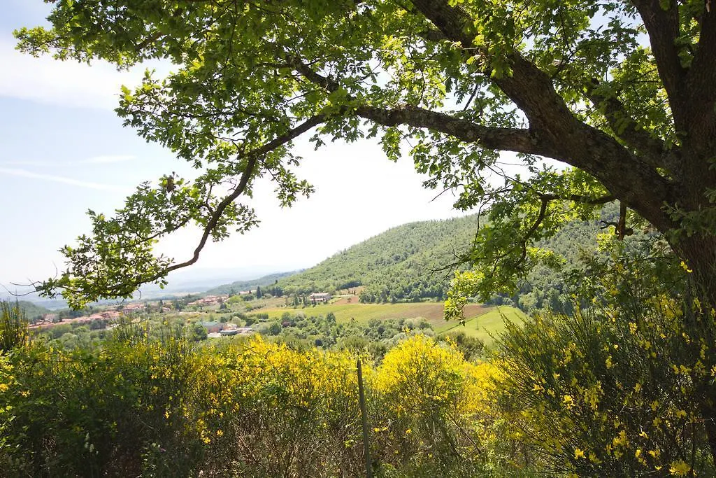 Hotel Panoramic Montepulciano Stazione 3*,