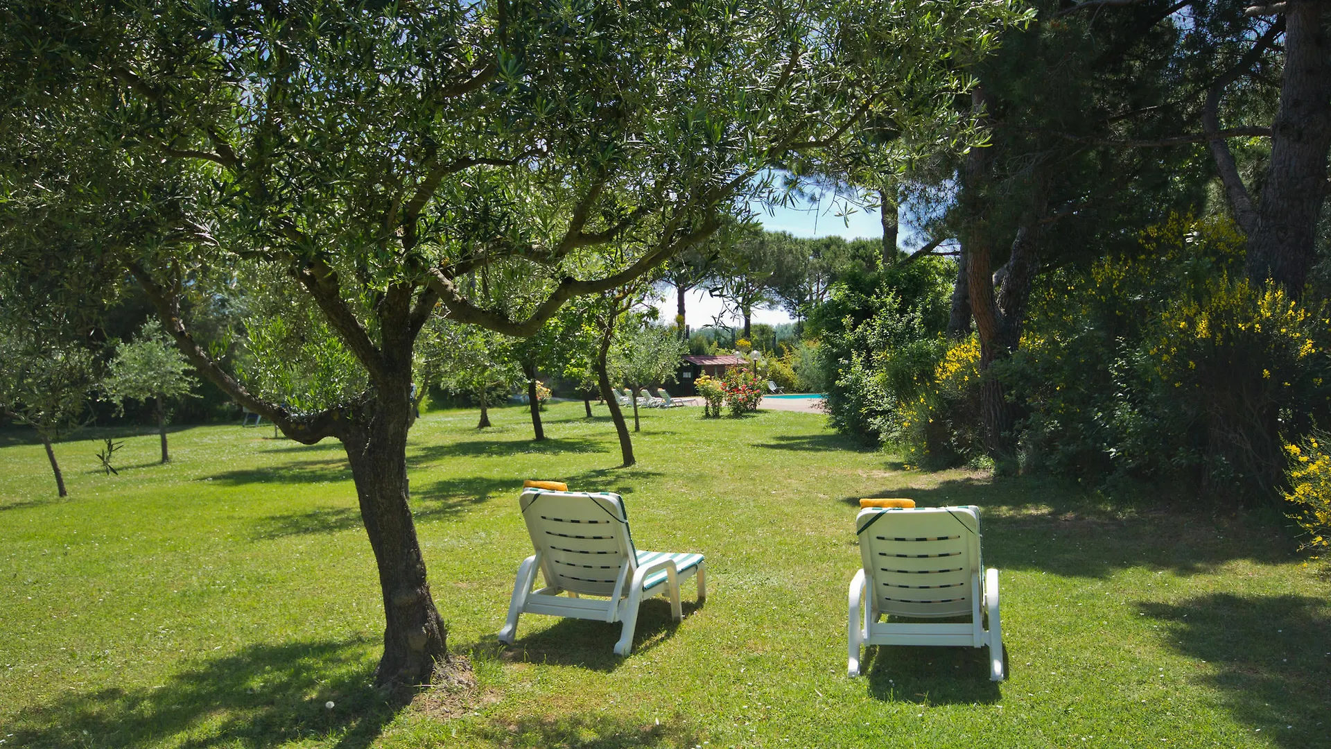 Hotel Panoramic Montepulciano